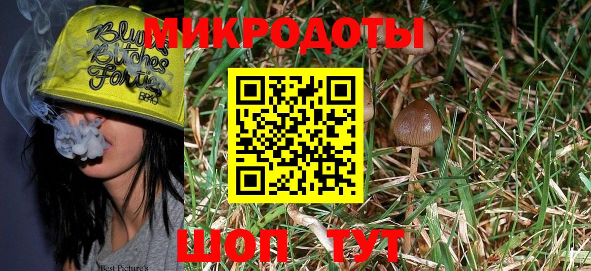 где купить наркоту  Вход с VPN  Городец  Галлюциногенные грибы Cubensis 